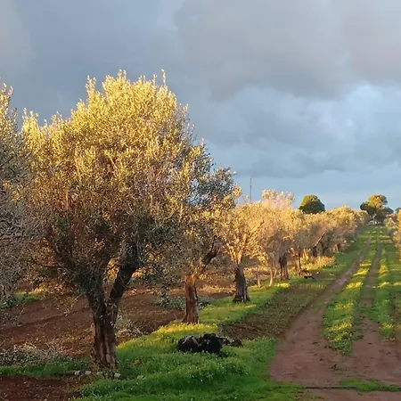 Zeituna A Porto Cesareo 토레 라필로
