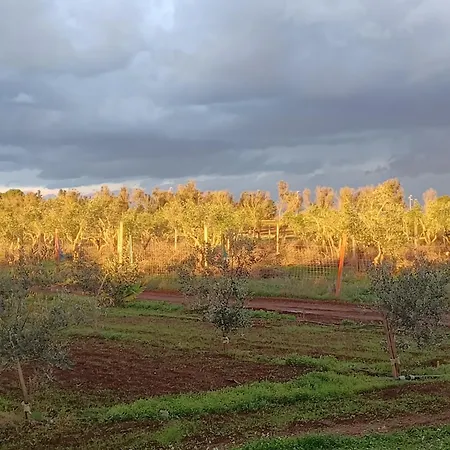 Σπίτι διακοπών Zeituna A Porto Cesareo *